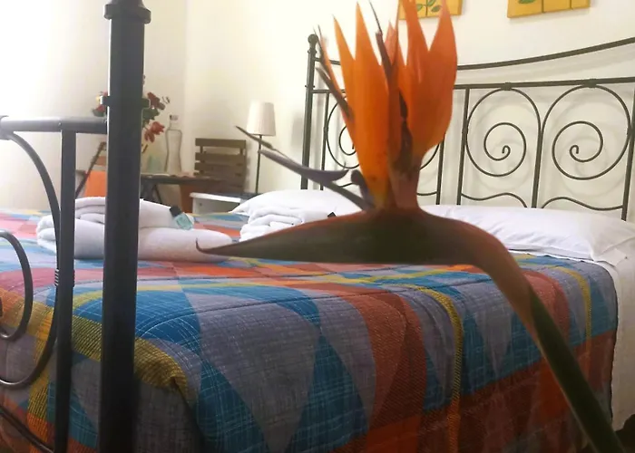Titina 4*